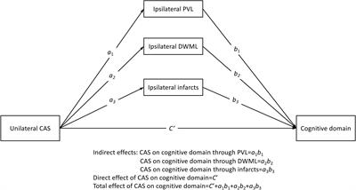 Mediating roles of leukoaraiosis and infarcts in the effects of unilateral carotid artery stenosis on cognition